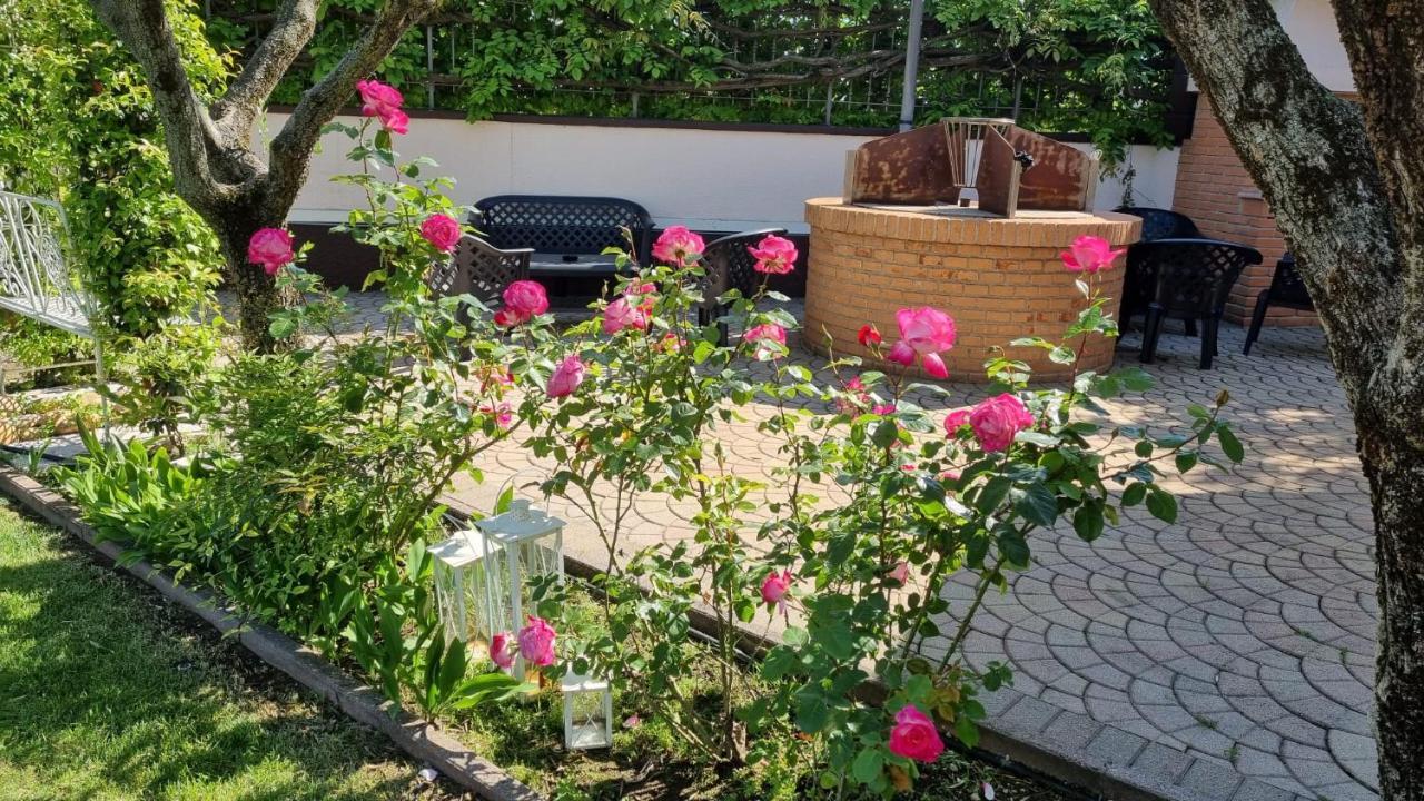 Fontana Oasis Apartments Castelnuovo del Garda Eksteriør billede