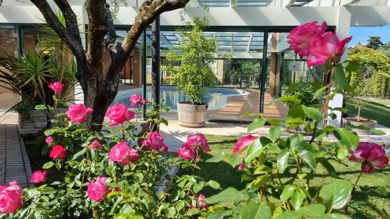 Fontana Oasis Apartments Castelnuovo del Garda Eksteriør billede